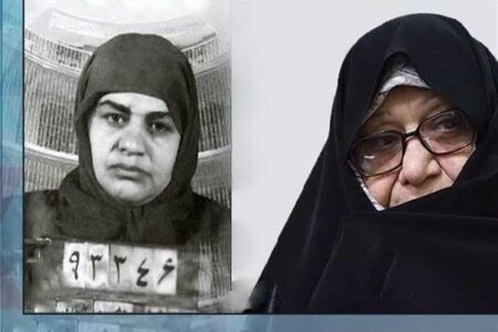  ۸ مقاله برتر در کنگره بانو دباغ معرفی شدند