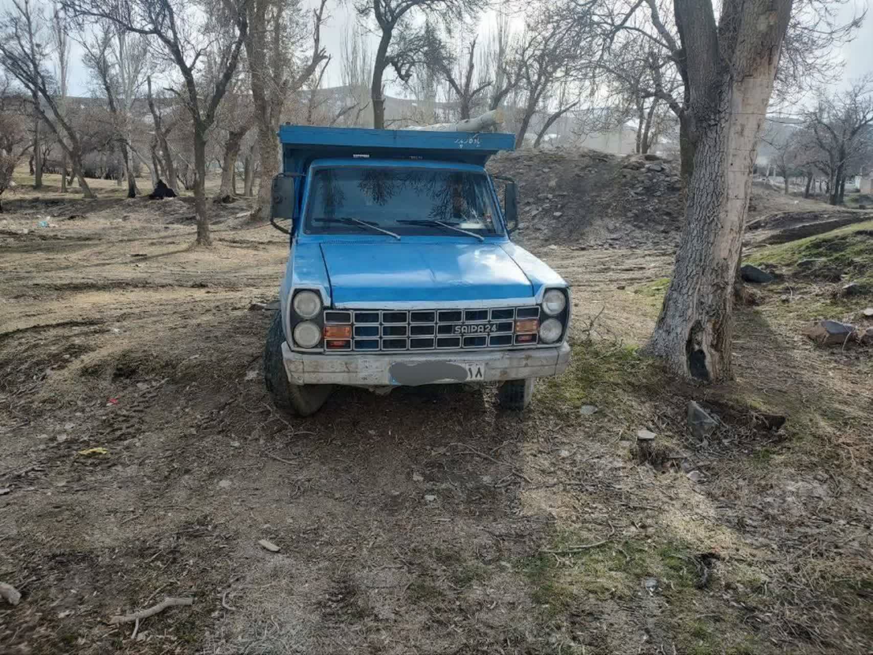 تعرض به درختان شهر بی‌پاسخ نمی‌ماند