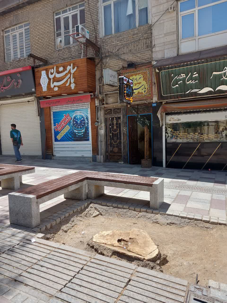 قطع درختان خشک و خطرزا برای حفظ جان مردم بود