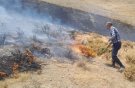 فرماندار ملایر در دل آتش؛ فداکاری در سکوت