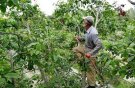 گردوتکانی در همدان ۲ فوتی و ۱۲۹ مصدوم برجا گذاشت