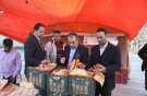 توزیع میوه شب عید همدان در ۸۶ غرفه با نرخ مصوب