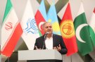 ایران و همدان پیشرو در حوزه سلامت منطقه