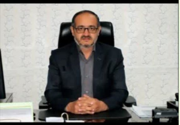 علل افزایش قیمت مرغ در همدان/مرغداران خواستار آزادی عمل در تولید هستند