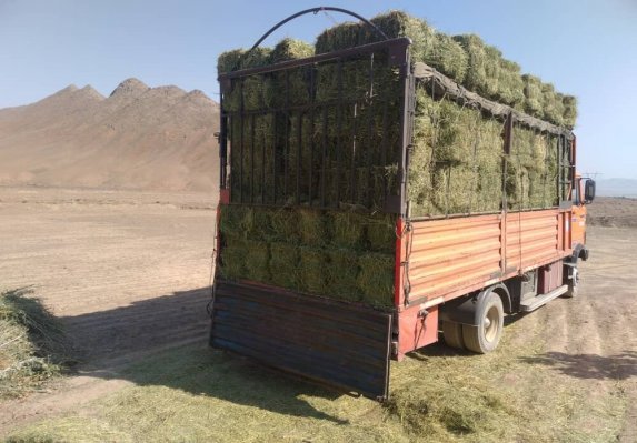 کشف لوازم برقی قاچاق از زیر بار علوفه ۲ کامیون در همدان
