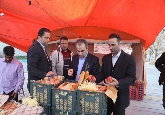 توزیع میوه شب عید همدان در ۸۶ غرفه با نرخ مصوب