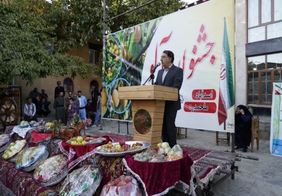 جشنواره آلو در روستای گردشگری ملحمدره اسدآباد برگزار شد