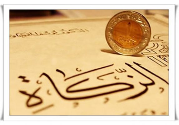 ۲۰ هزار تن کشمش استان مشمول زکات است