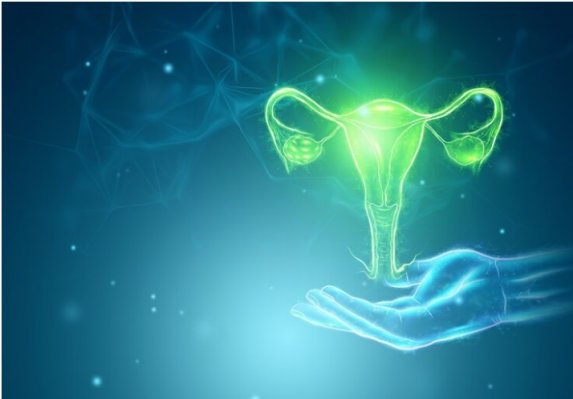 افزایش ابتلا به تنبلی تخمدان پیامد سبک زندگی ناسالم